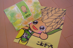 こむぎっち