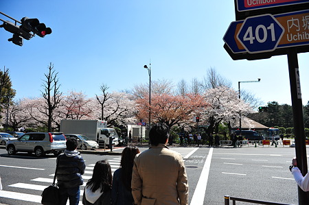 2012/4 Cherry blossom＠千鳥ヶ淵-2