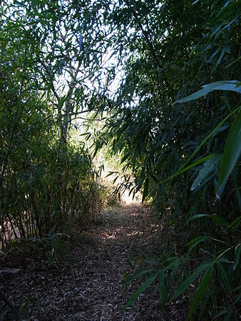 R0013085