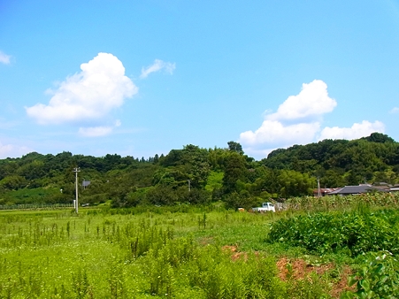 R0015403