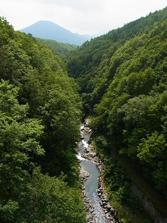 R0015510