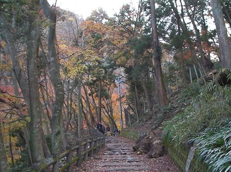 斜度20度くらい?