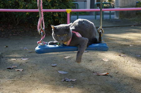 DSC04021