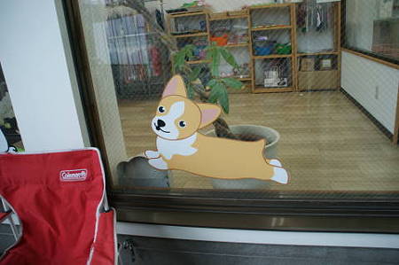 DSC05309
