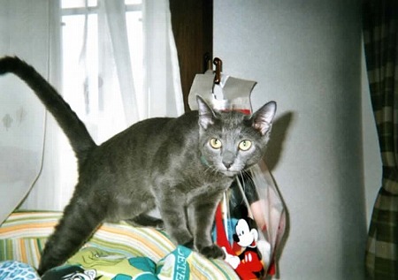 EPSON008