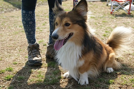 DSC08450