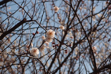 P3050282