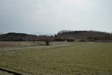 field03112012dp1-01