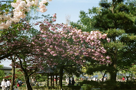 SMENA_FUJI_PRO400H05052011-02