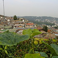 CIMG3238 CIMG3238
