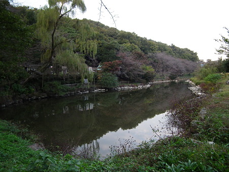 DSCF4135
