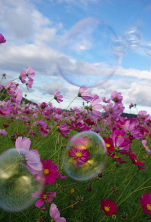 IMGP8604_1023