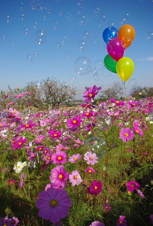 IMGP8708_1029