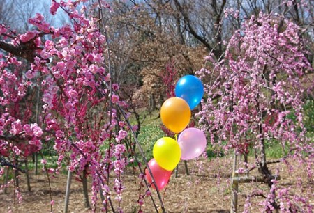 IMGP8885_0325