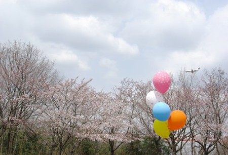 IMGP0080_0407