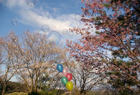 IMGP0173_0407