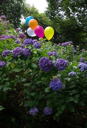 IMGP0068_0617