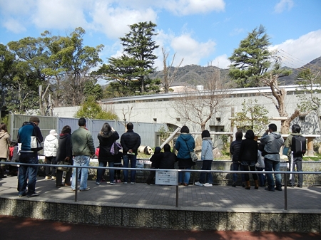 DSCN0942