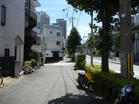 普通の画像