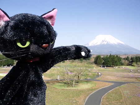 富士山ぬ。富士芝桜まつり2011
