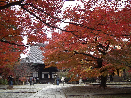 京都 421