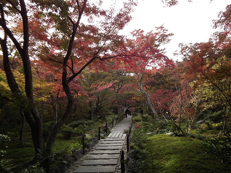 京都 061