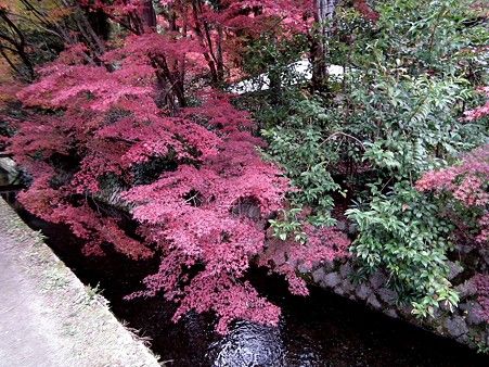 京都 677