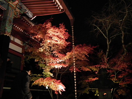京都 886