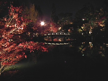 京都 896