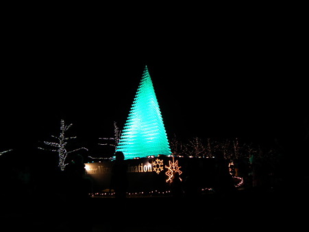 昭和記念公園 303
