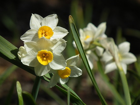 DSCF0055