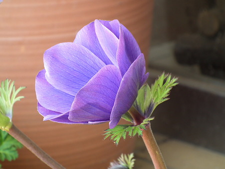 DSCF0263