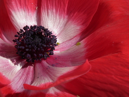 DSCF0269