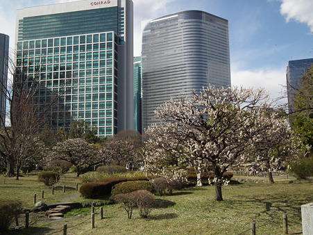 DSCF0199