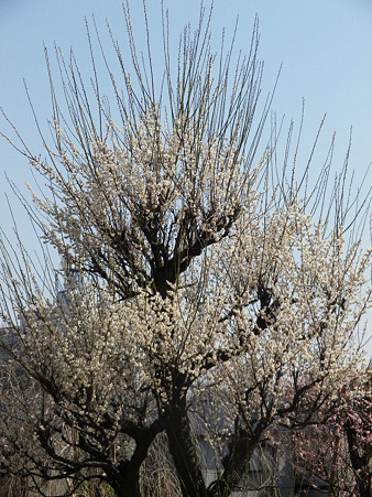 IMGP0072