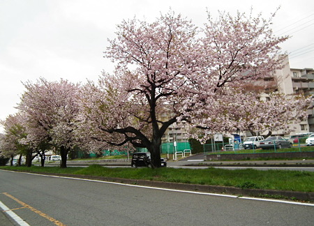 DSCF0303