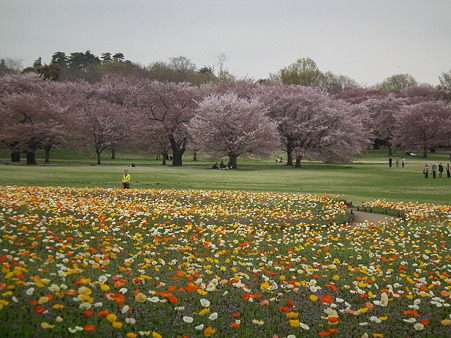 DSCF0506