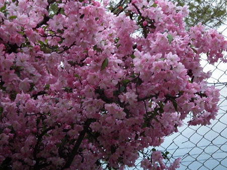 DSCF0272