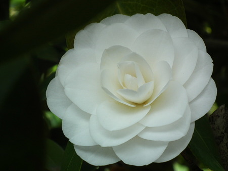 DSCF0185