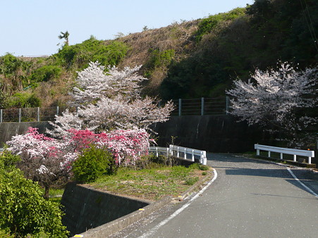 浜石岳へ続く道