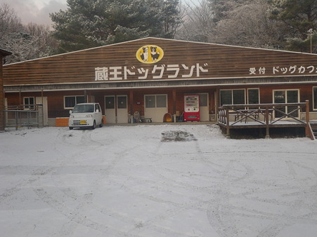 IMGP1868