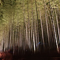 Photos: 京都・嵐山花灯路 竹林の小径