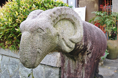 2012年01月08日_DSC_0248
