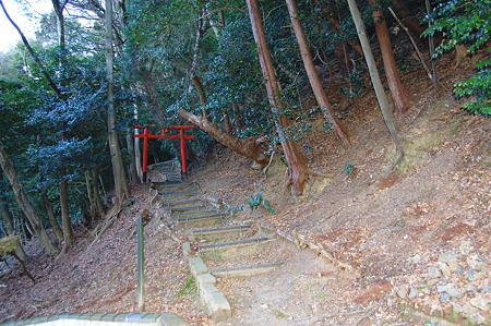 2012年01月08日_DSC_0328