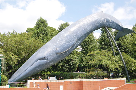 2011年08月28日_DSC_1098