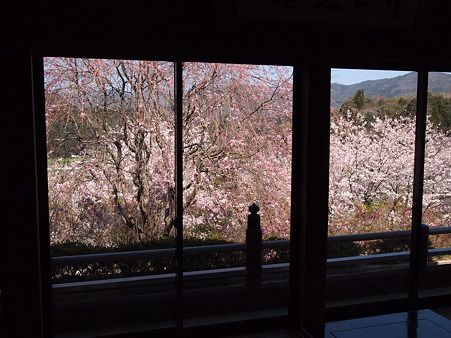 2012 桜 延岡