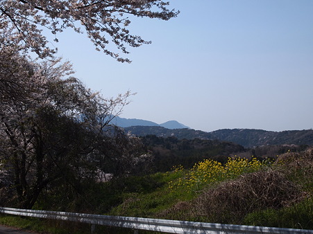 オレンジロード