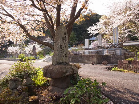 安国寺