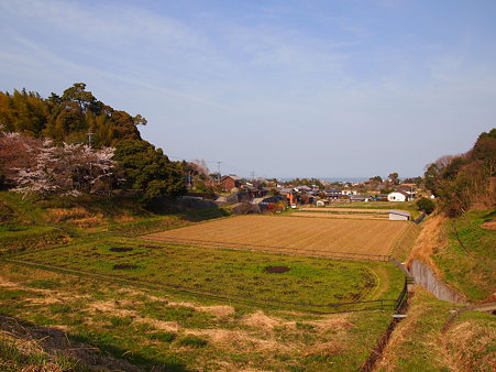 安国寺