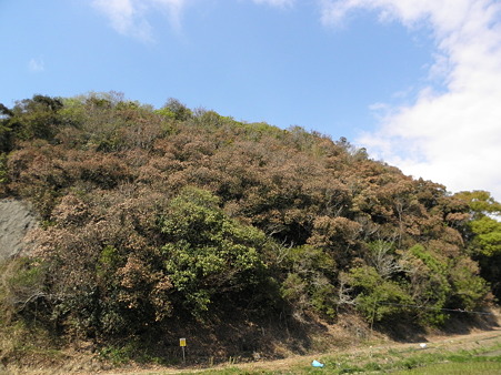 P4190091